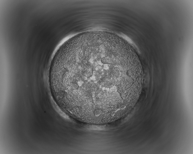 X0000086091086200703301146