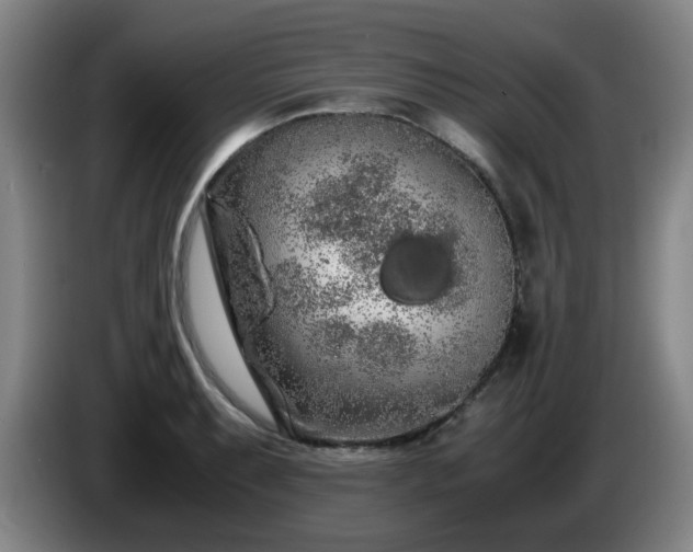 X0000086091087200703301146