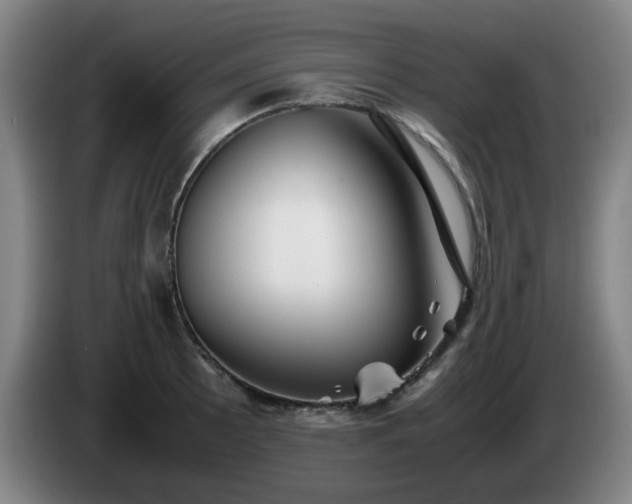 X0000086091089200703301146