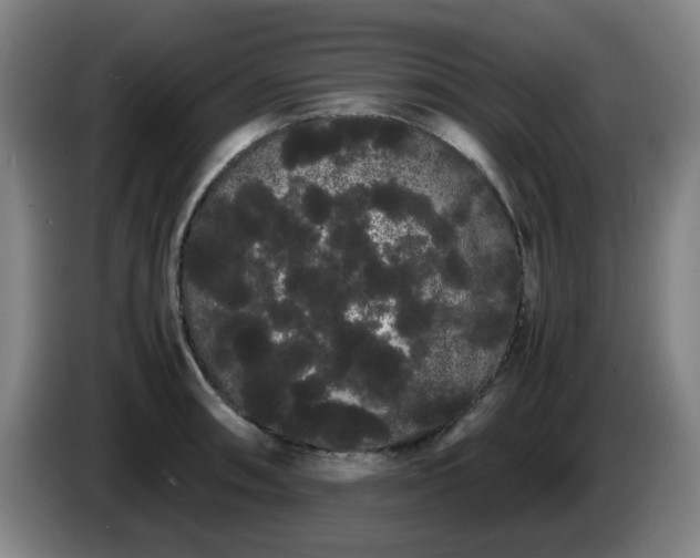 X0000086091090200703301146