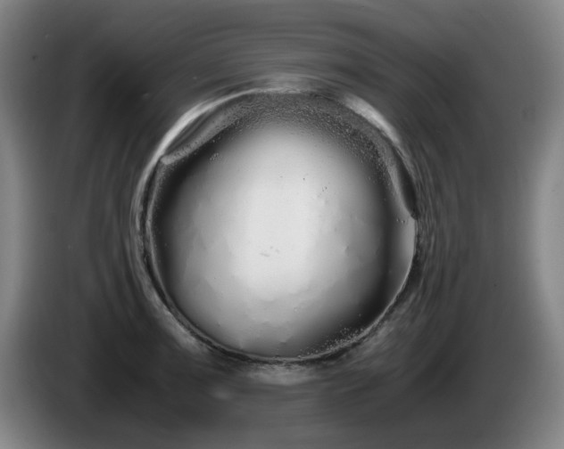 X0000086091091200703301145