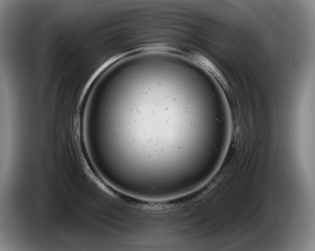 X0000086091092200703301145