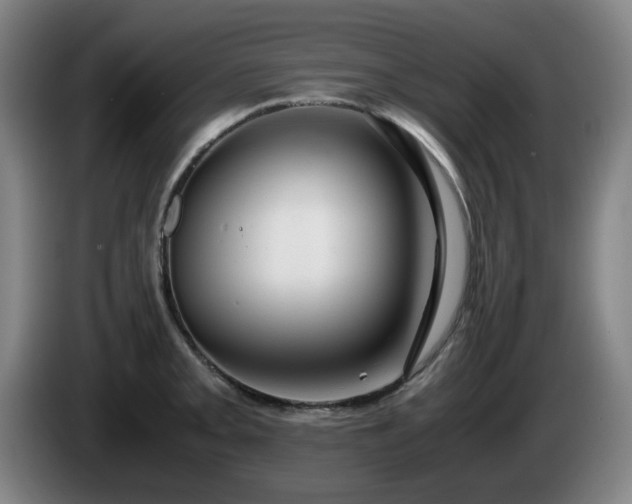 X0000086091093200703301145