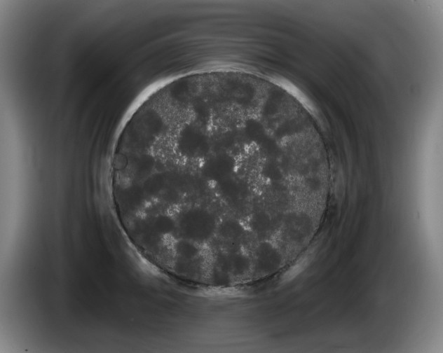 X0000086091094200703301145