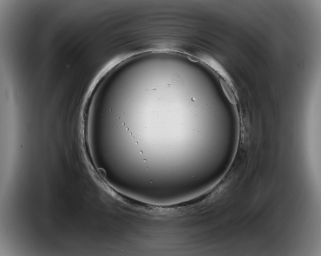 X0000086091096200703301145