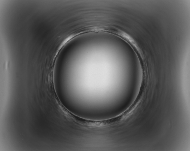 X0000086091097200703301145