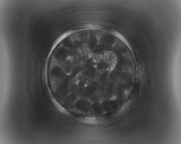 X0000086091098200703301145