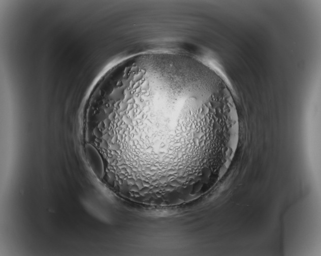 X0000086091099200703301145