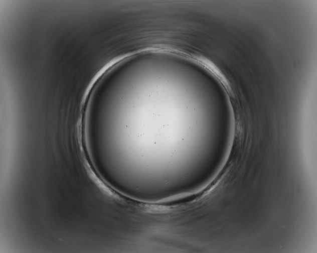 X0000086091100200703301145