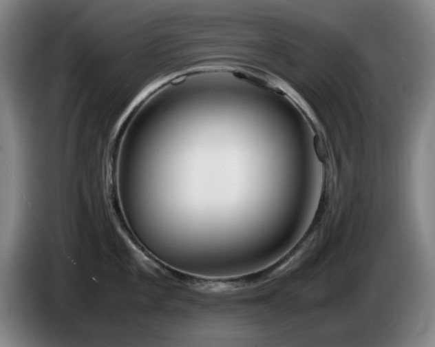 X0000086091101200703301145