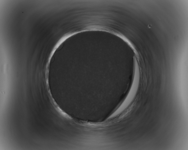 X0000086091102200703301145