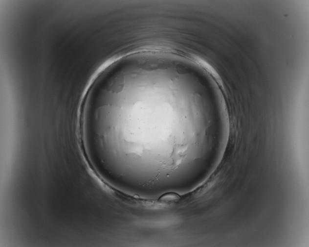 X0000086091103200703301145