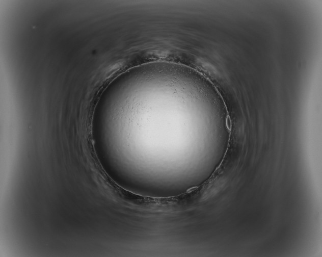 X0000086091105200703301145