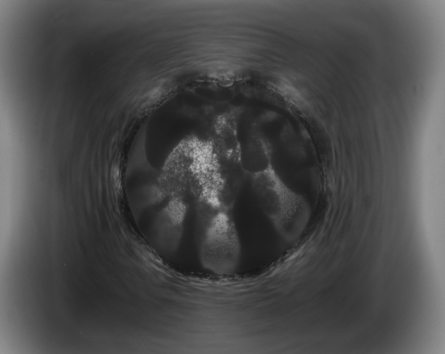 X0000086091106200703301145