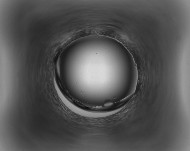 X0000086091109200703301145