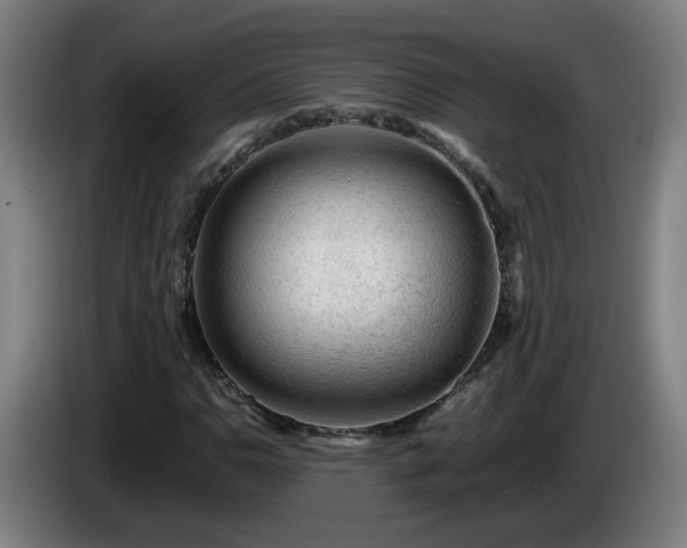 X0000086091110200703301145