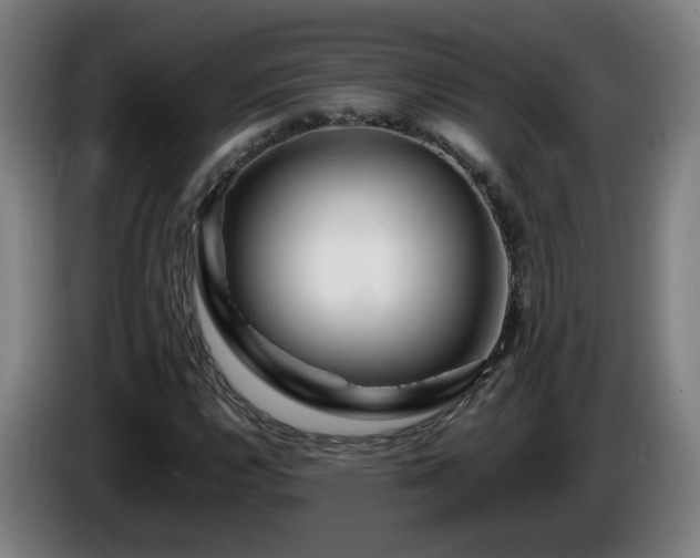 X0000086091112200703301145