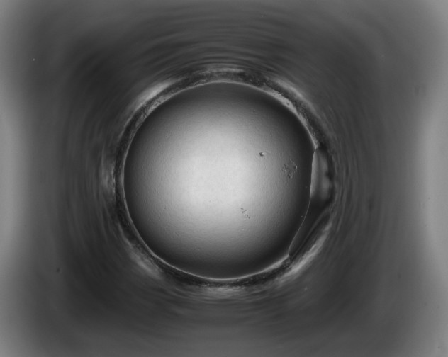 X0000086091113200703301145