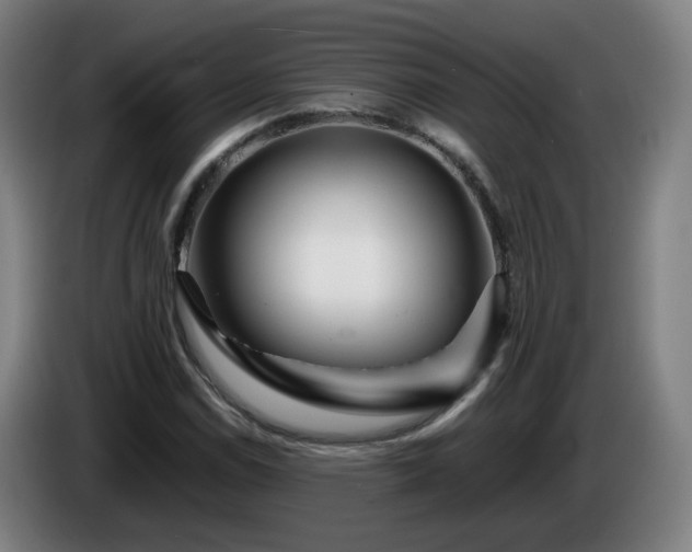 X0000086091114200703301145