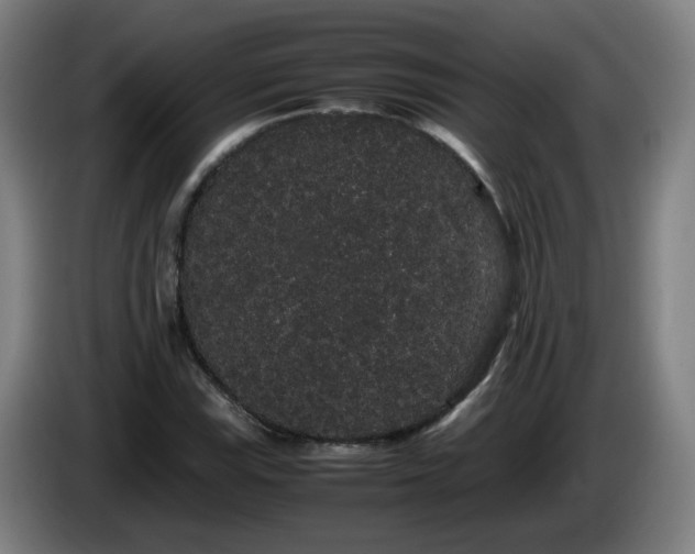 X0000086091115200703301145