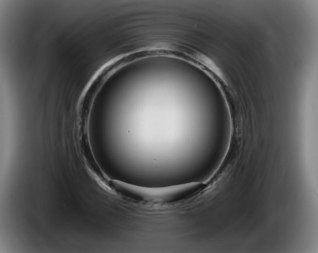 X0000086091116200703301145