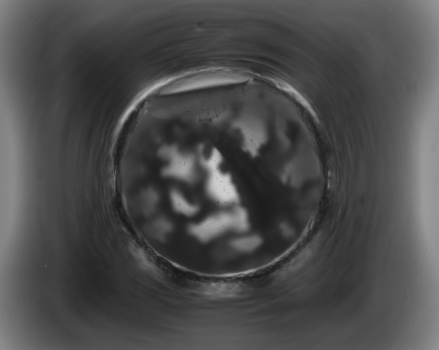 X0000086091117200703301145