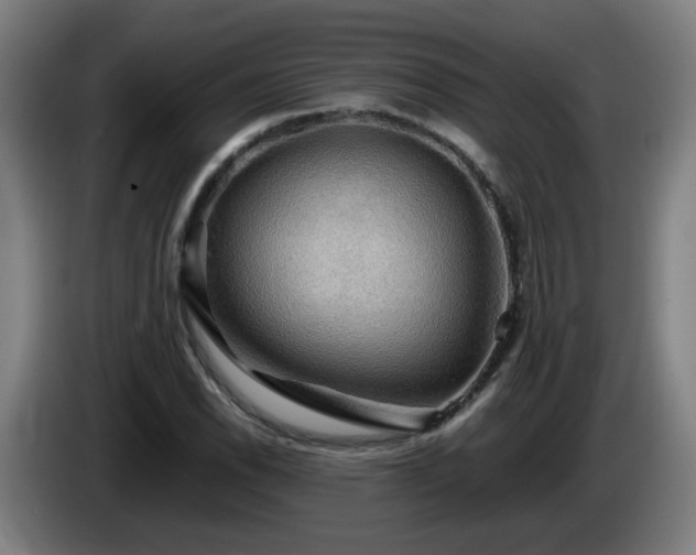 X0000086091118200703301145