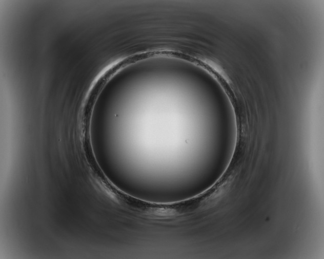 X0000086091119200703301145