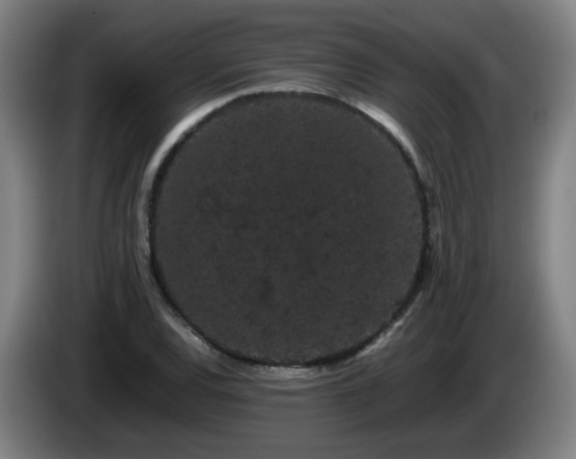 X0000086091120200703301145