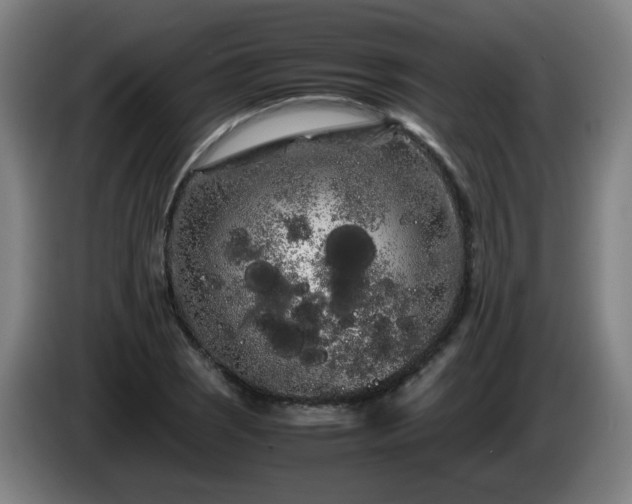 X0000086091121200703301145