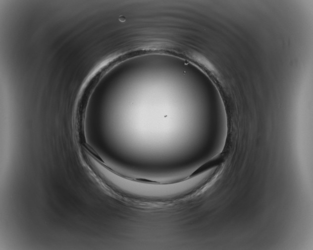 X0000086091122200703301145