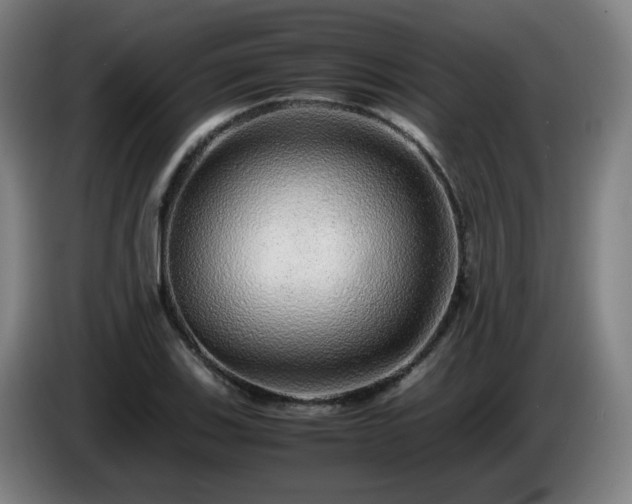 X0000086091123200703301145