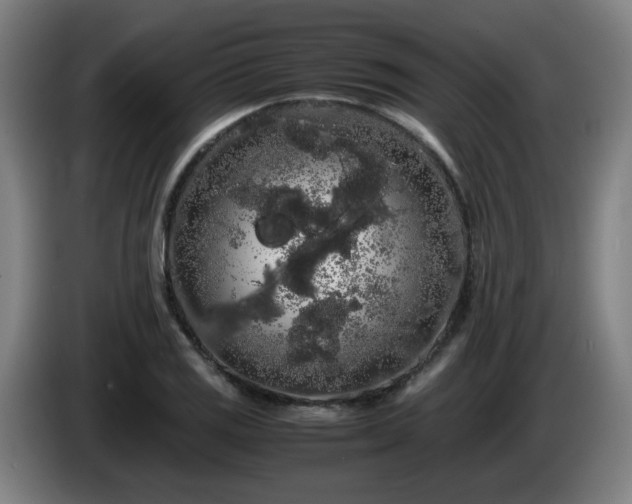 X0000086091125200703301145