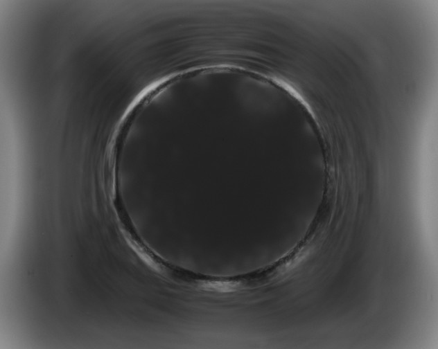 X0000086091127200703301145