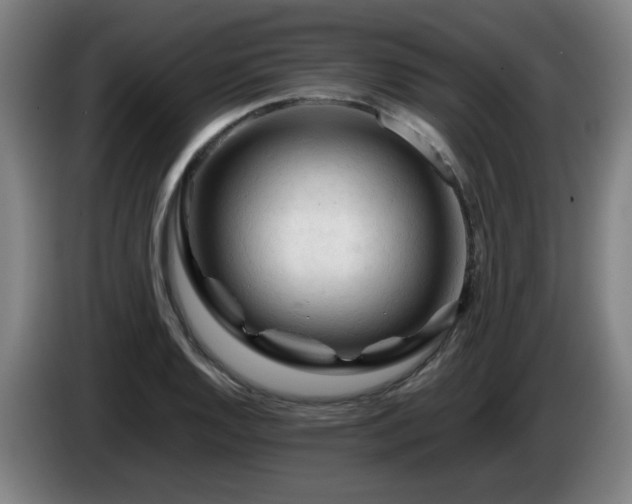 X0000086091128200703301145