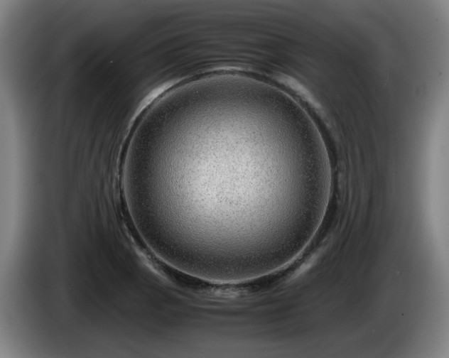 X0000086091129200703301145