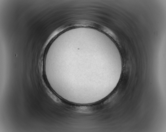 X0000086091130200703301145