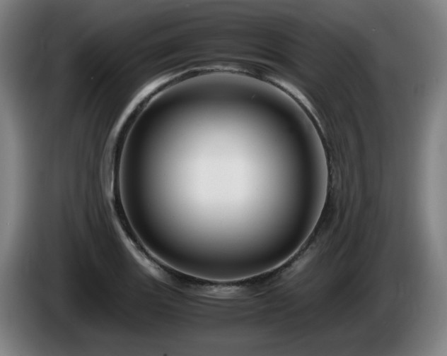 X0000086091131200703301145