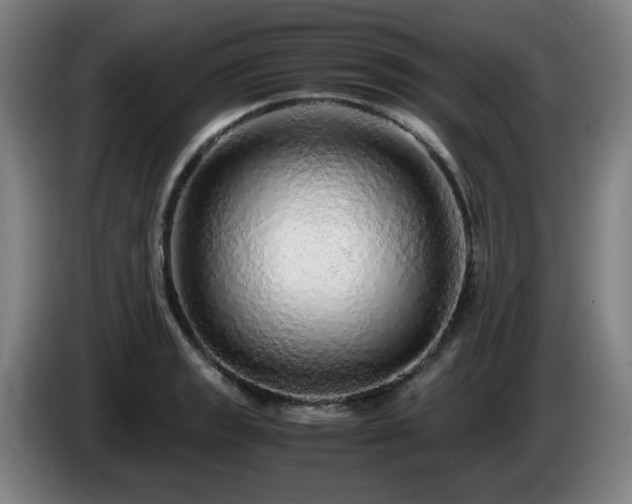 X0000086091133200703301145