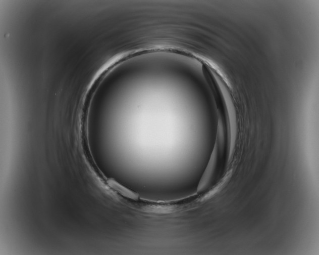 X0000086091134200703301145