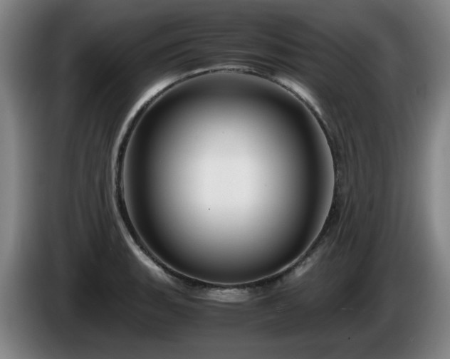 X0000086091135200703301145