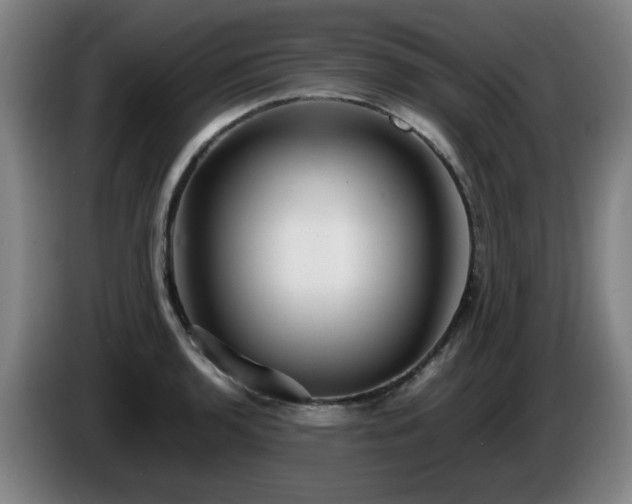 X0000086091136200703301145