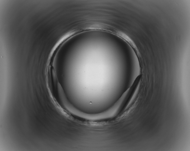 X0000086091138200703301145