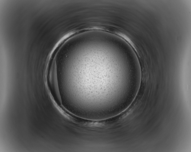 X0000086091139200703301145