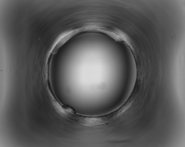 X0000086091140200703301145