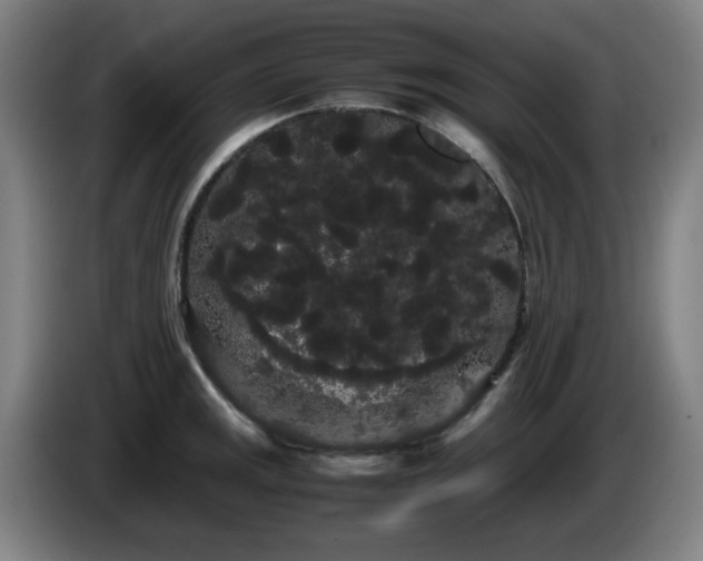 X0000086091141200703301145