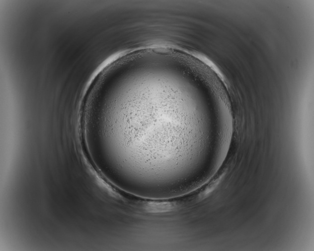 X0000086091142200703301145