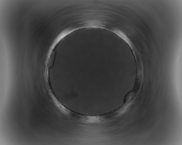 X0000086091144200703301145