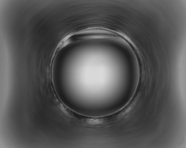 X0000086091145200703301145