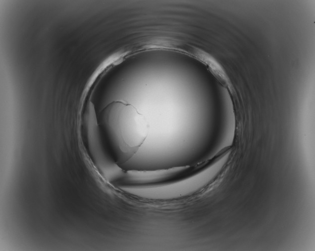 X0000086091146200703301145